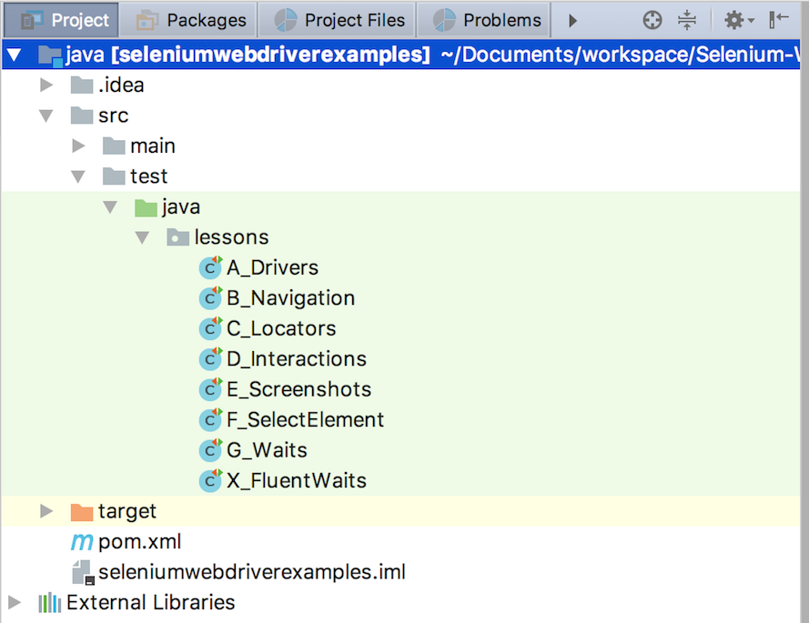 IntelliJ Project Window